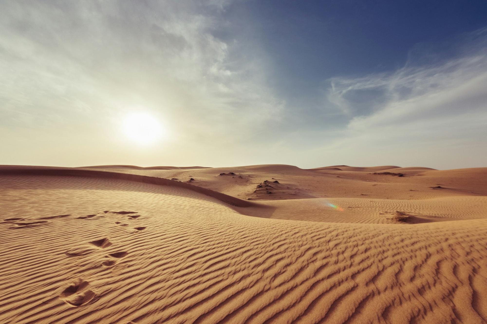Wind-shaped sand dunes beneath a low sun