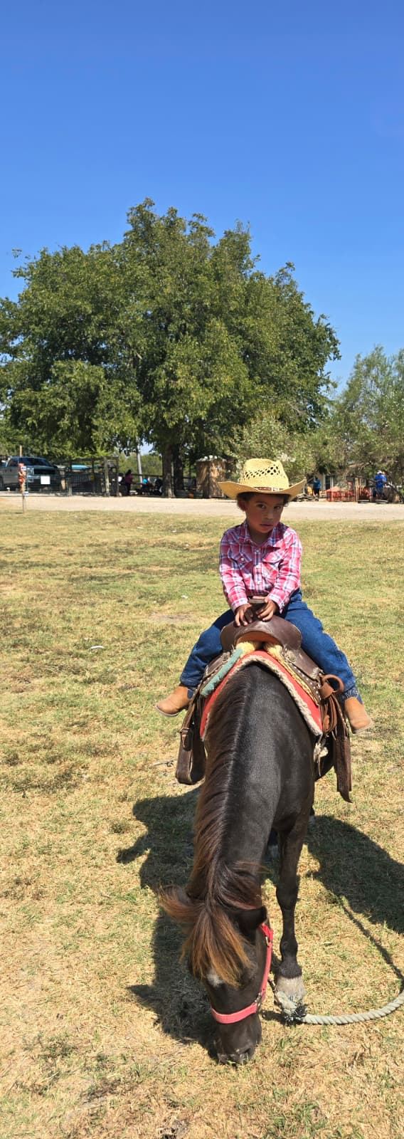 A child riding a horse across a field