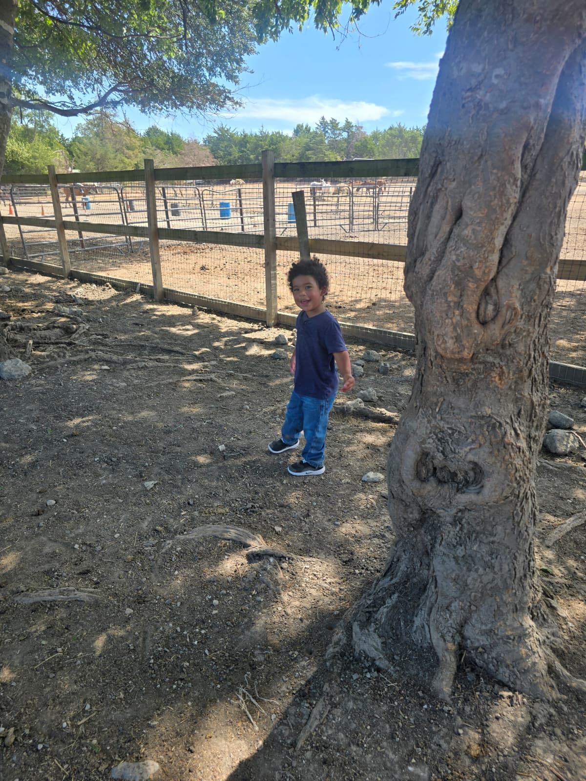 A young child exploring beside a paddock