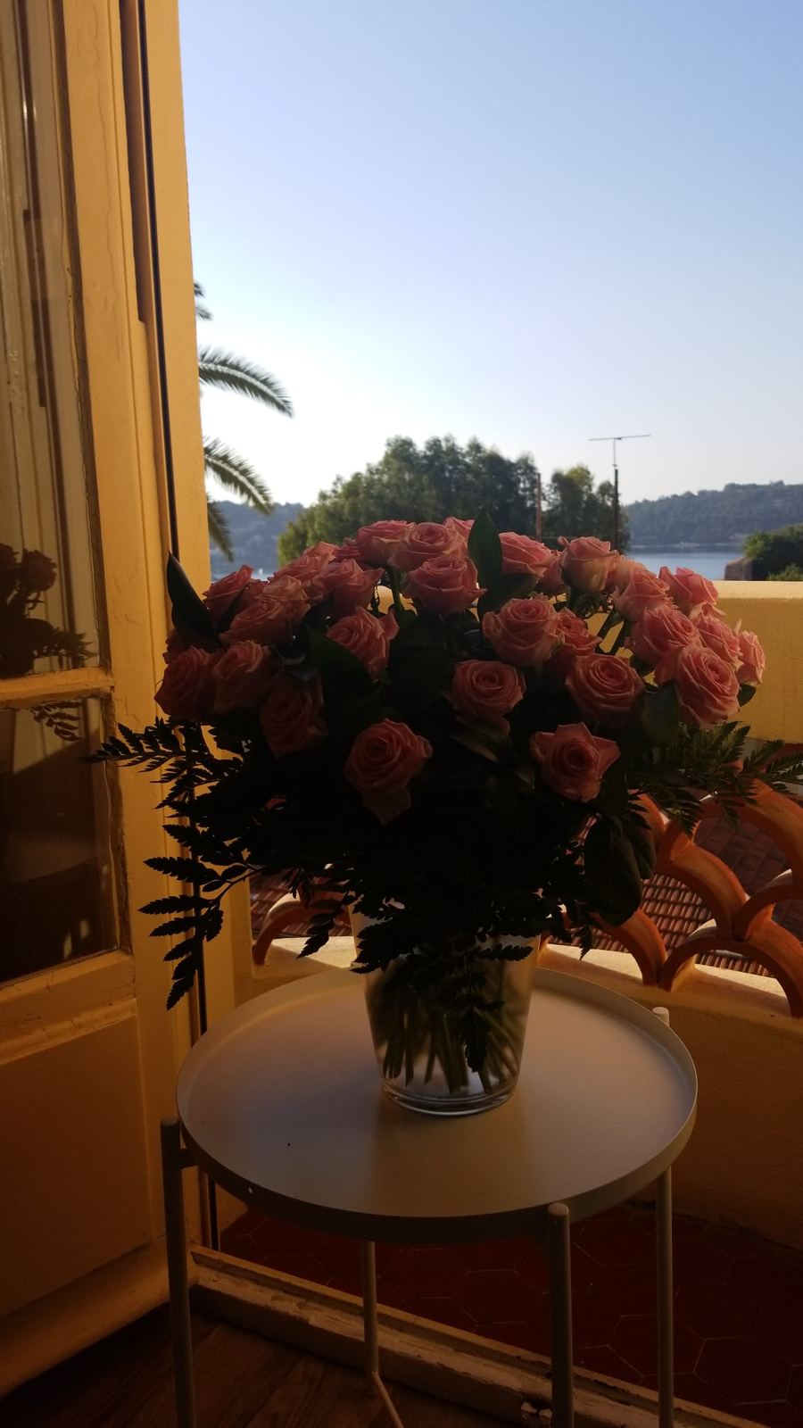 Roses on a balcony overlooking the sea